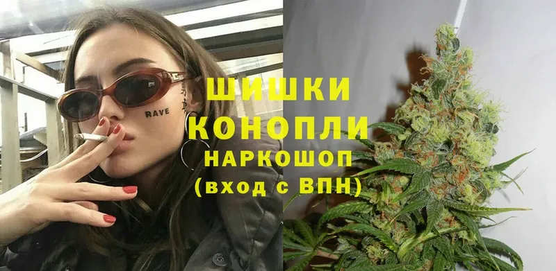 Бошки Шишки SATIVA & INDICA  цена наркотик  Нахабино 